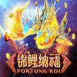 Fortune Koi